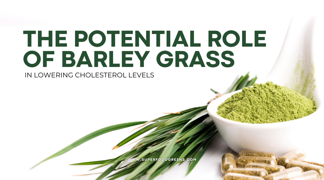 The Potential Role of Barley Grass in Lowering Cholesterol Levels